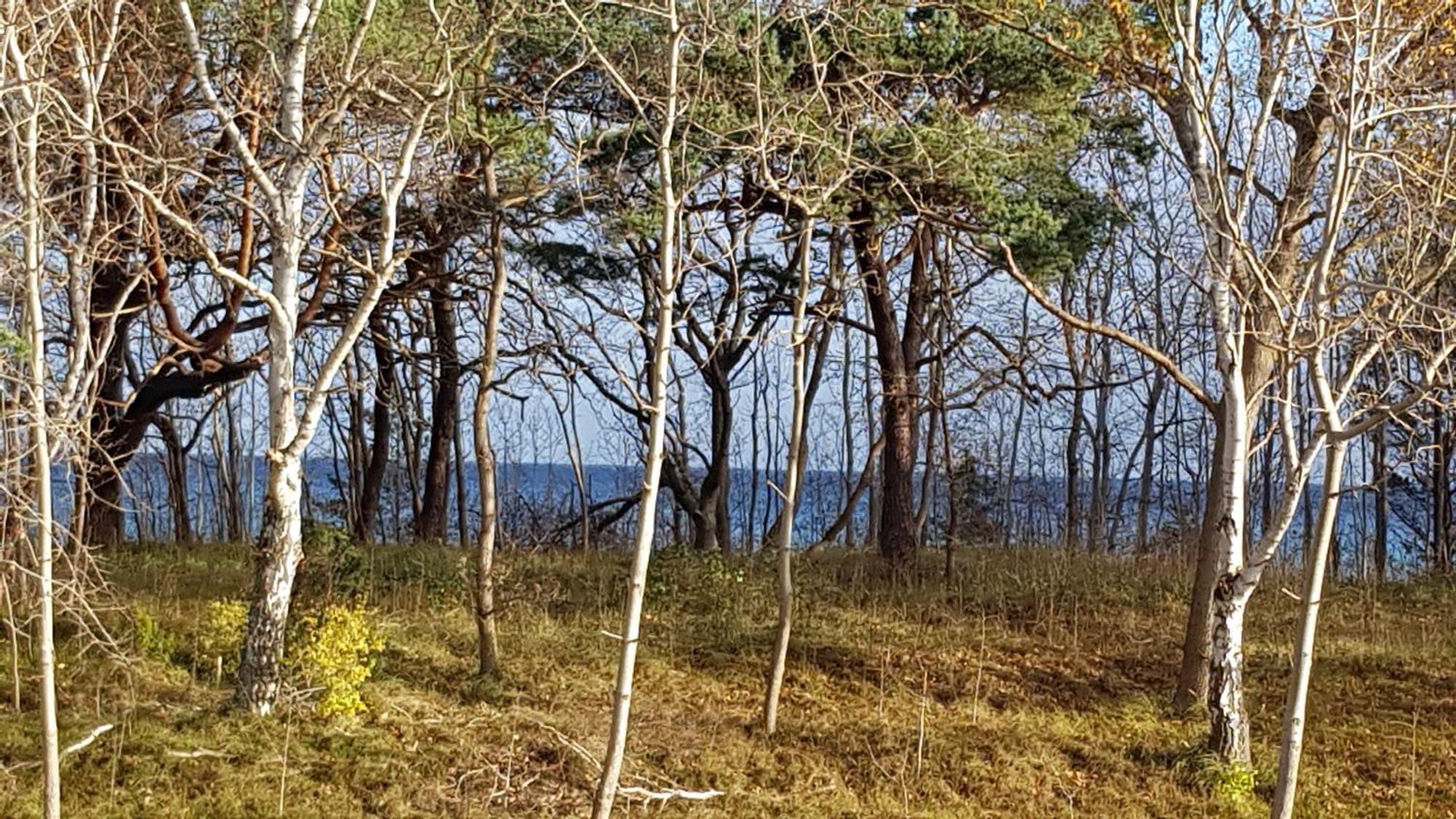 Traum Fewo Strandliebe Mit Meerblick, 3 Schlafzimmer, 2 Baeder บินซ์ ภายนอก รูปภาพ